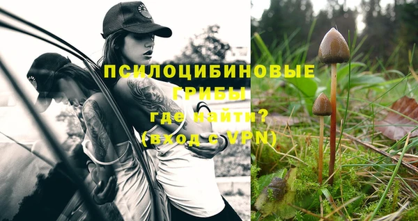 альфа пвп Карталы