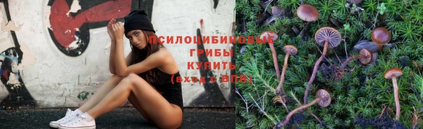 альфа пвп Касимов