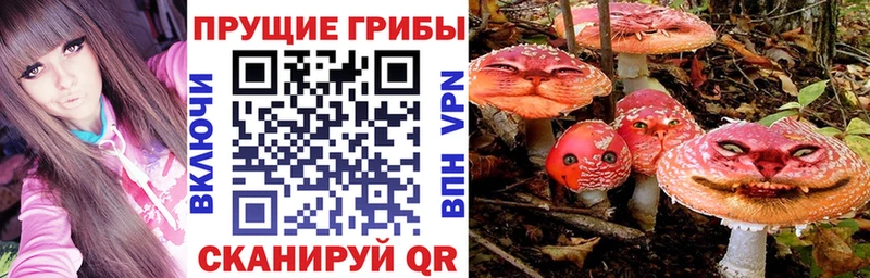 Галлюциногенные грибы Psilocybe  Купить закладки  Ростов 